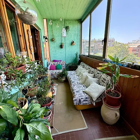 Babba House